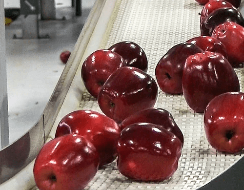 manzanas-Niagara-Fresh-Fruit-Co. manzanas-Niagara-Fresh-Fruit-Co.