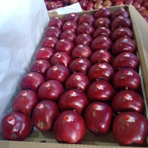 product-jpeg-1000x1000